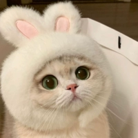 Бархатный кролик (подходит для веса от 3 до 15 фунтов)