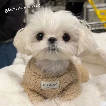 Pet dog warm vest autumn and winter clothing