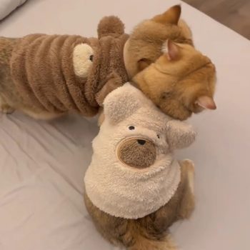 Autumn and winter schnauzer cat plush dog clothes