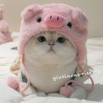 Cat hood chicken hat pet cute photo taking autumn and winter warm dog cross-dressing hat Maltese headwear