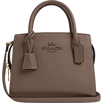 COACH Outlet Womens ANDREA CARRYALL Handbag
