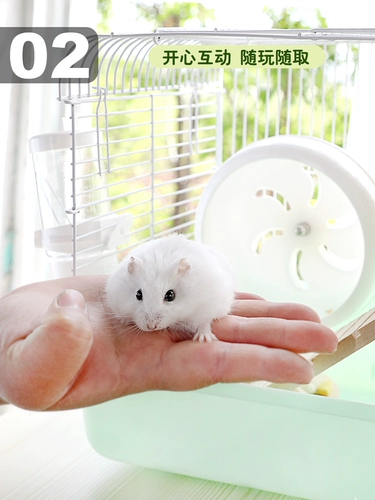 Клетка для молотка золотой шелковый медведь дешевый вилла клетка роскошные хомя