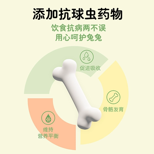 Рыжая кролика кролика питомец молодые кролики специальные частицы зерно, голландская свинина, дельфин и кроличьи корм