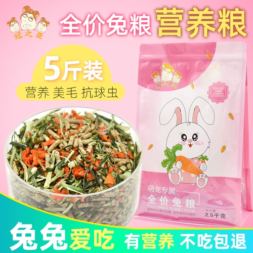 Рыжая кролика кролика питомец молодые кролики специальные частицы зерно, голландская свинина, дельфин и кроличьи корм