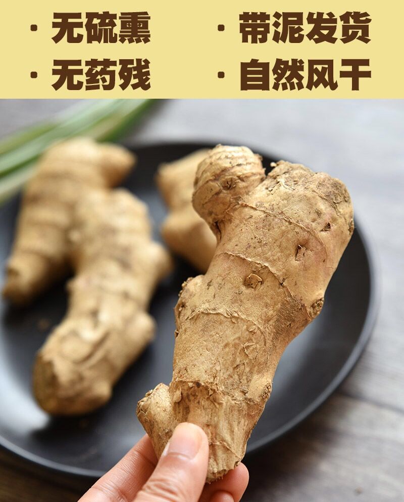 【超值11.9！】山东特色老姜2500g