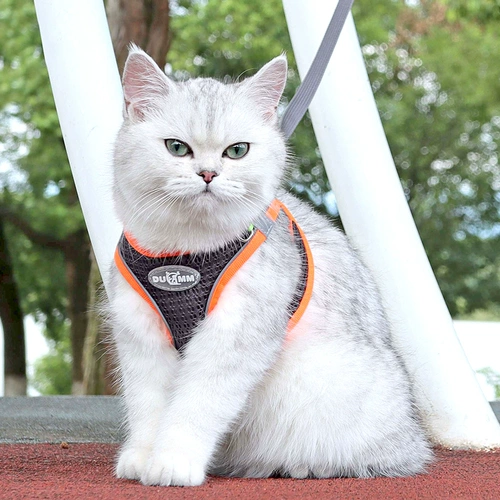 Жилета -тип кошачья тяга защита от веревки, чтобы вырваться из специального британского короткого серебряного градиента дышащего грудного ремня для ремня для грудного ремешка