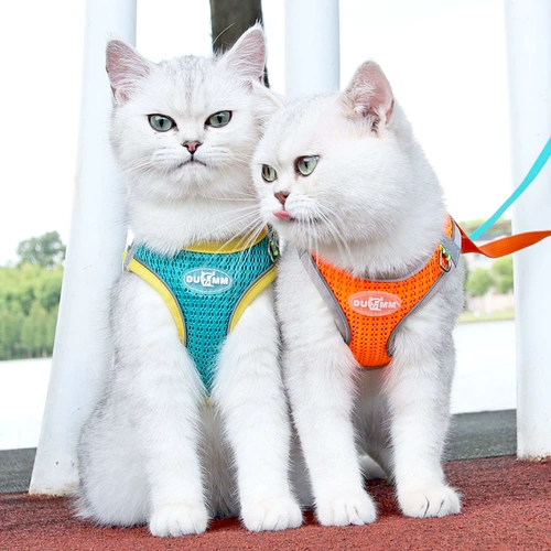 Жилета -тип кошачья тяга защита от веревки, чтобы вырваться из специального британского короткого серебряного градиента дышащего грудного ремня для ремня для грудного ремешка