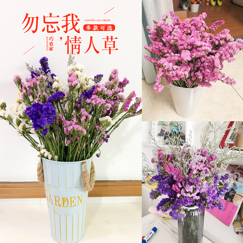 Cloud South large beam lover grass Don't forget I dry the bouquet Home furnishing little frescoed flowers Full Star flower floral flowers