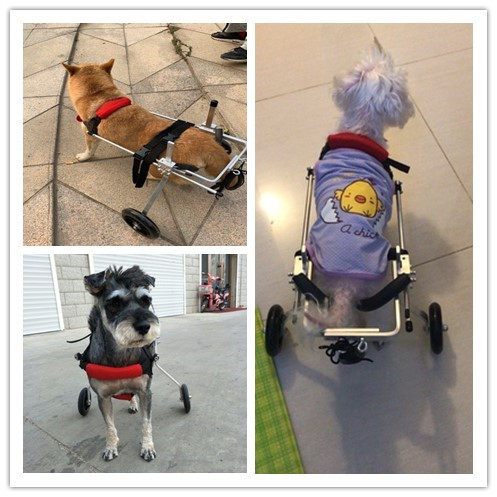 Dog wheelchair accessories freight to make up the difference