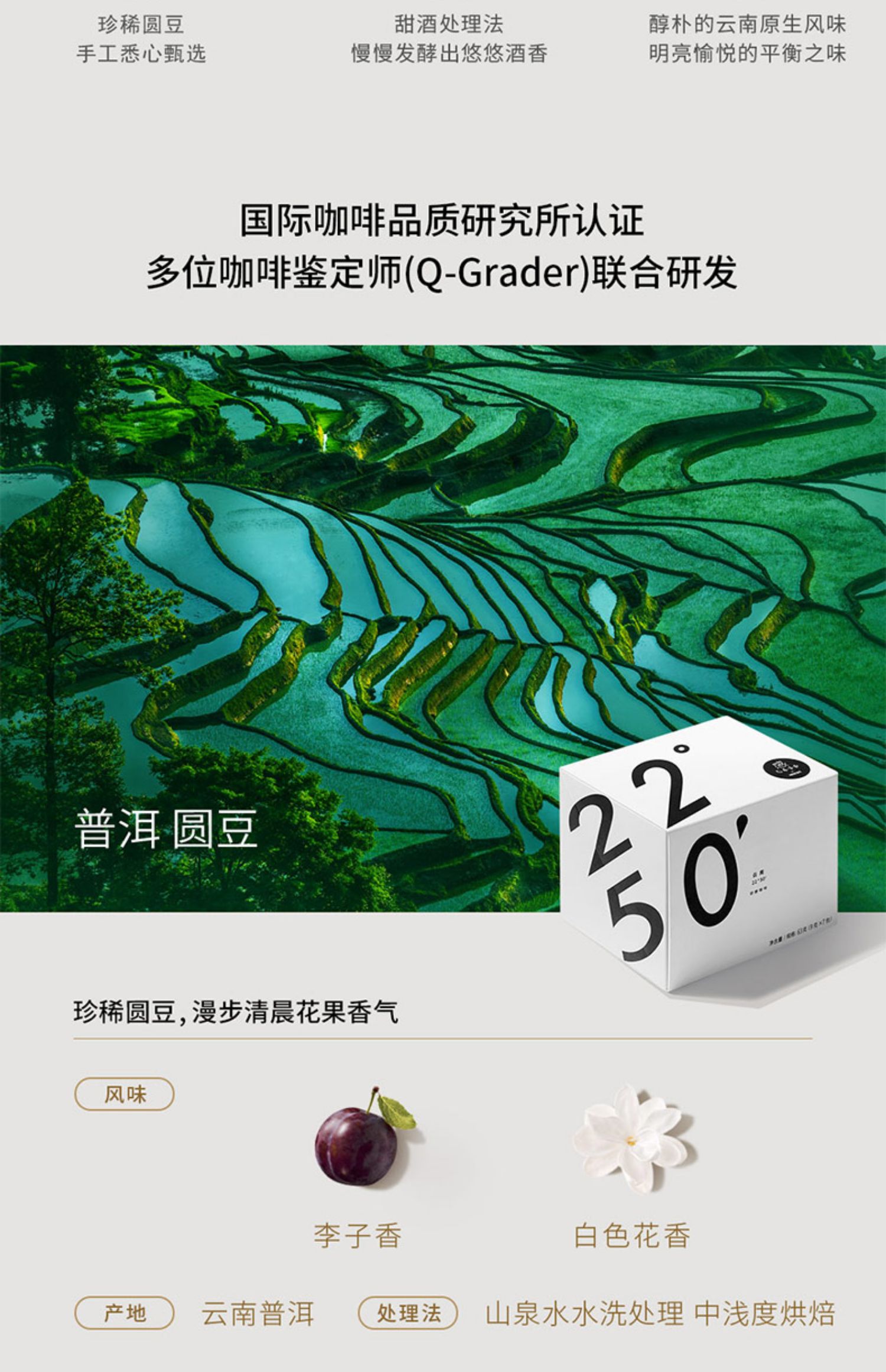 感CAFE云南纬度咖啡3盒*7包