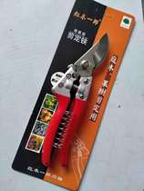Red Wood Ichiro prunes special scissors for grapes prunes with special scissors to cut fruits and vegetables with custard fruit prunes