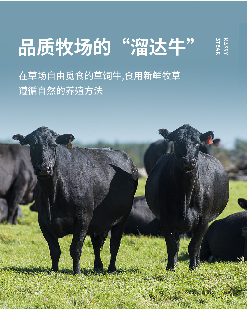 天猫超市 小牛凯西 菲力牛排 80g*10片 已通过核酸检测 图10