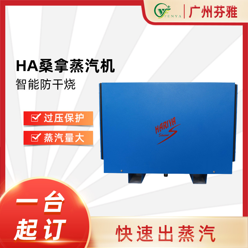 Harriet steam machine home commercial sauna sweat steaming equipment