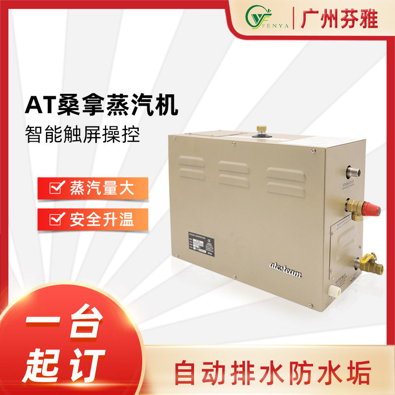 AT sauna steam machine aromatherapy instrument home commercial steam generator automatic descaling sauna sweat steam heating equipment