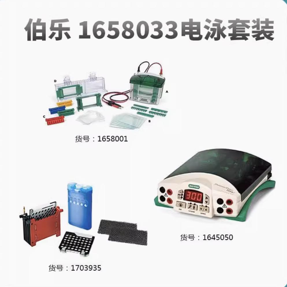 伯乐Bio-Rad电泳转印1658033垂直电泳仪1645050/16580013935