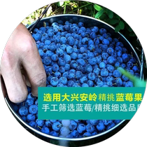 Dried blueberries no saccharin no additives non-special grade wild blueberry dried Northeast specialty blue plum original baking