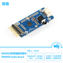  Micro-snow WM8960 audio module Stereo codec recording I2C interface can drive speakers