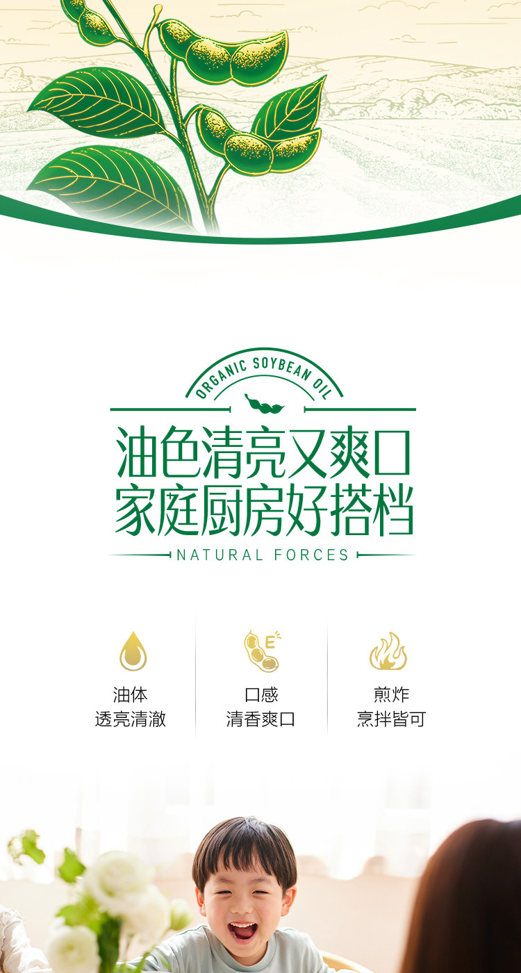 安享好物 安享S级大豆油-金龙鱼有机大豆油 国标