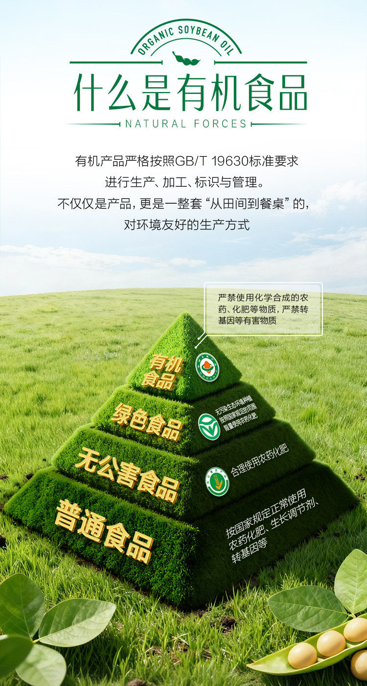 安享好物 安享S级大豆油-金龙鱼有机大豆油 国标