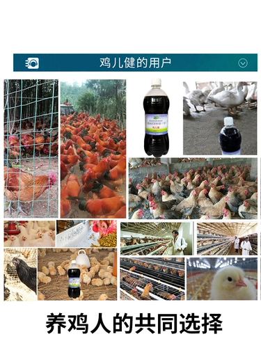 Курица птицы птицы, удобрения для утиного гуся