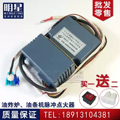 Gas Fryer flat accessories Fryer igniter deep fryer pulse you tiao ji controller AS-KBL233JDL