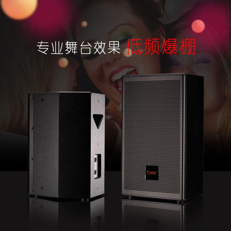 TANKE G760 Stage KTV Grade Home Karaoke Speaker Large Dynamic Low Distortion Karaoke Speaker