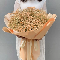 Большой луч апельсиновых классических моделей отправляет лампы