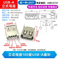 Заведение Мать Мать Место 180 градусов USB-A Прямая игла (20)