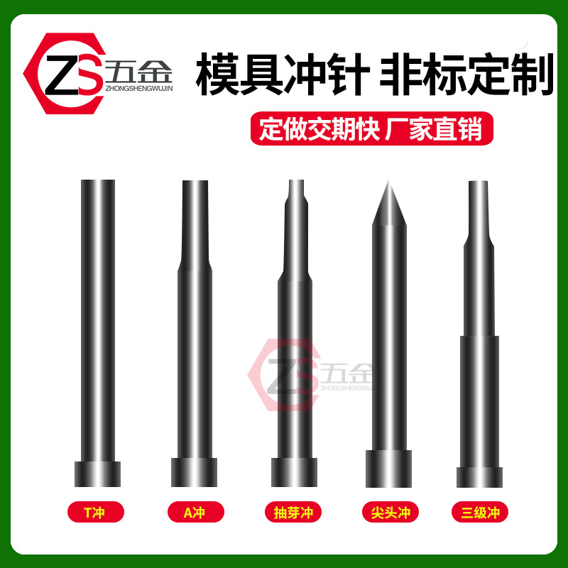 Die accessories Punching needle punch punching T punch A punch skh51 skd11 stainless steel punching needle non-standard customization