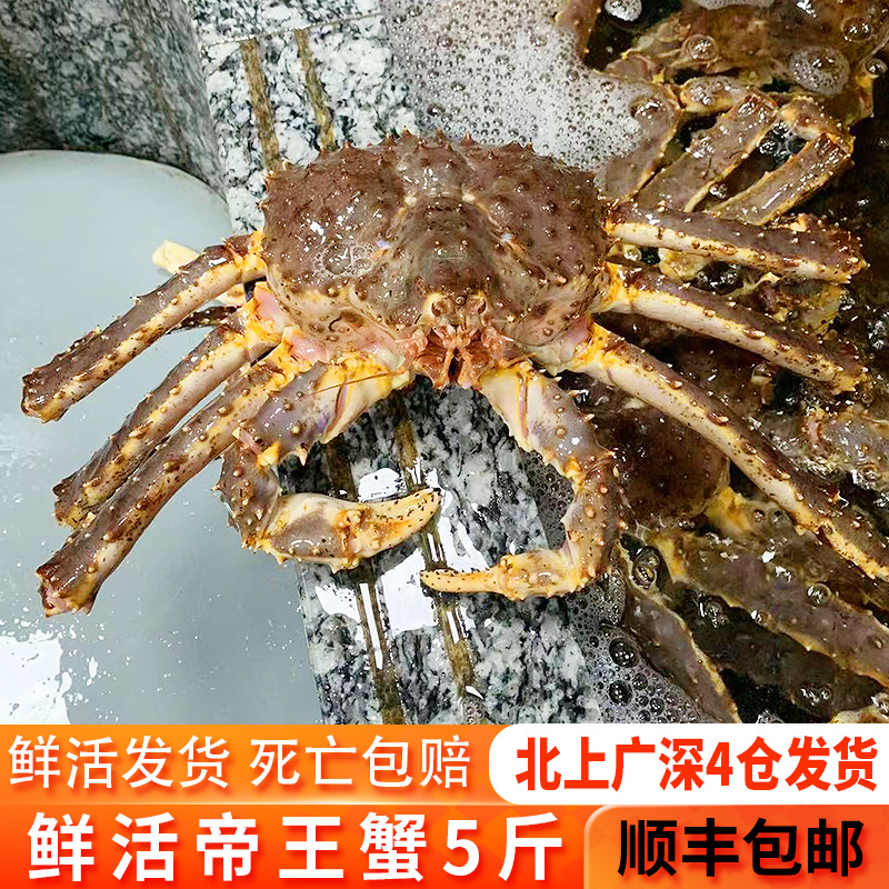Купить Краб камчатский Свежие краба морепродуктов импорт 10 ультра ...