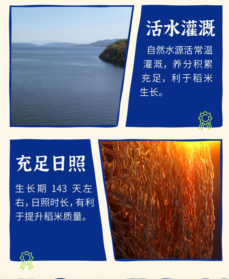 安享好物 安享S级粳米-袁谷五常 有机鲜稻米 国标 