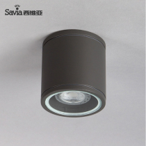 savia simple outdoor surface mounted downlight Round indoor anti-fog waterproof energy-saving spotlight ceiling light free opening