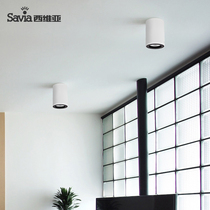 Sylvia spotlight led ceiling lamp living room household corridor porch ceiling bucket round light