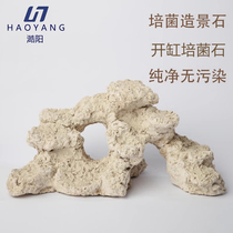 Haoyang seawater tank algae-free rapid tank cultivation landscaping stone artificial live stone sea tank coral cornerstone modeling stone