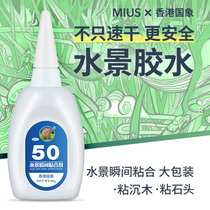 National elephant water family special water grass gum fixed Moss coral stone head moss moss wood water grass cuckoo root skeleton glue