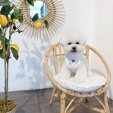 Шарф, слюнявчик, аксессуар, милый нагрудник