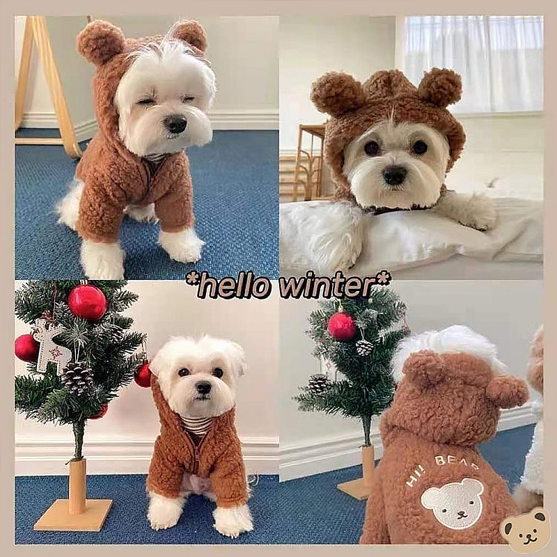 ins Autumn and Winter New Dog Cardigan Jacket Korean Pet Couple Outfit Teddy Bichon Pomeranian Small Dog Clothes ins Autumn and Winter New Dog Cardigan Jacket Korean Pet Couple Outfit Teddy Bichon Pomeranian Small Dog Clothes
