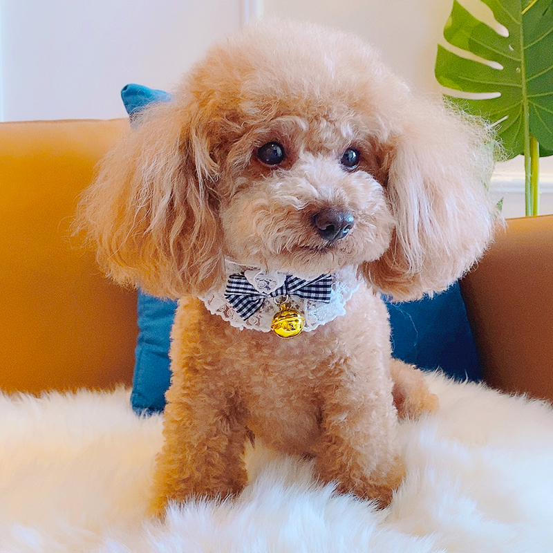 Dogs saliva towels Pets Scarves kittens Large small and medium size Pet Ornaments Neckline Items Ring Bell Dog Neckline