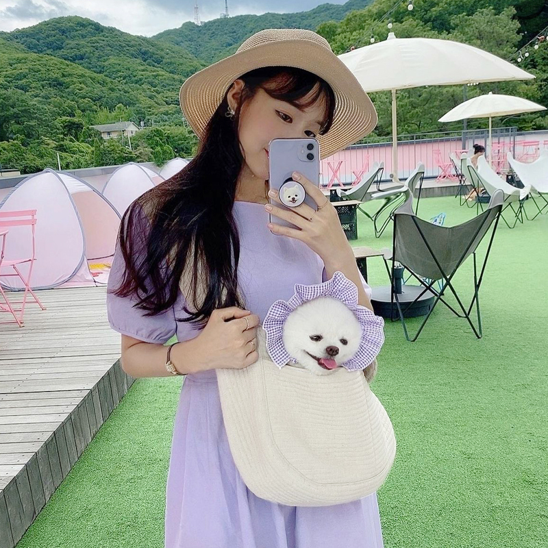 Cat bag for portable pet kitty puppies Scapes Satchel with small canine Canvas Bag bag Single Shoulder Cat Bag