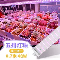 Полный спектр водонепроницаемые модели 0,7 метра 40 Вт пять шариков лампы (купить один, получи один, получи один бесплатно)