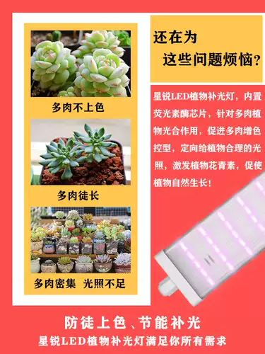 星锐 Заполняющий свет, лампа для продуктов на солнечной энергии, комфортный световой спектр