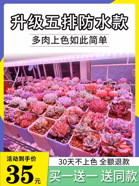 Товары от SLBH