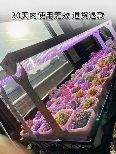 星锐 Заполняющий свет, лампа для продуктов на солнечной энергии, комфортный световой спектр