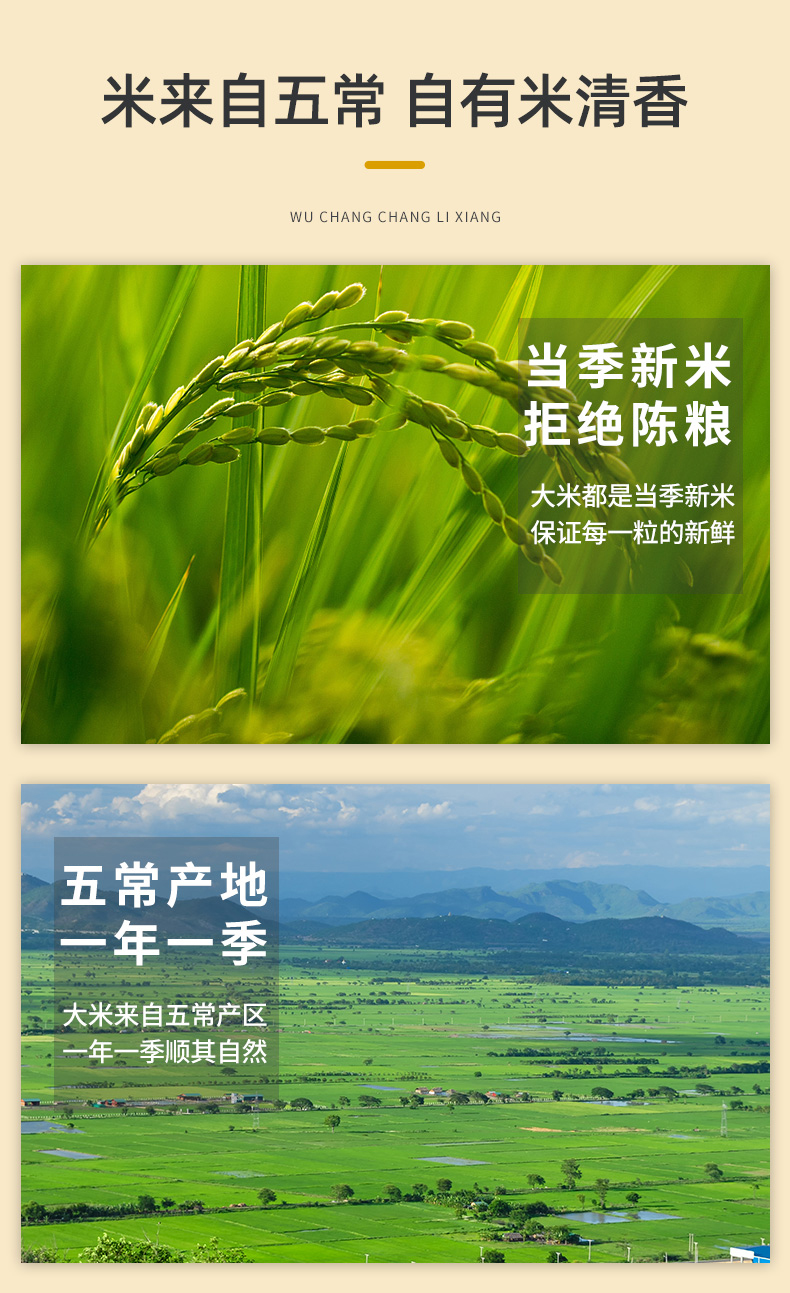 燕迎春 五常长粒香大米10斤 图2