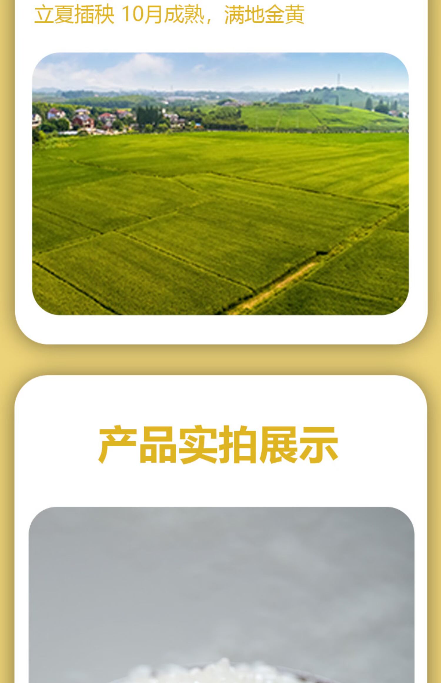 【燕迎春】东北寿司珍珠米10斤装