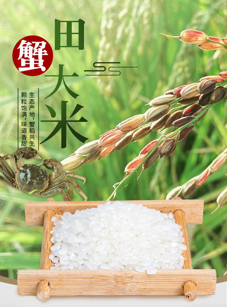GB/T 18824 盘锦蟹田稻米新米 10斤 图1