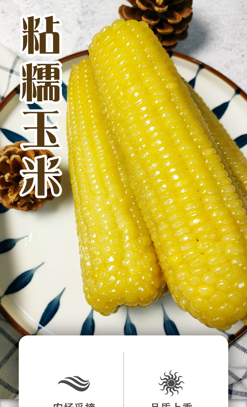 燕迎春 东北即食甜糯玉米 8根/2400g 图1
