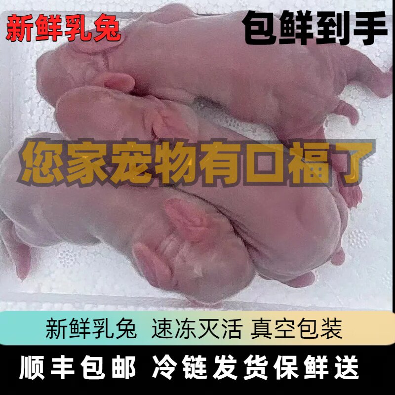 ペット用おやつ：ウサギ肉、子ウサギ肉、新鮮なウサギ肉、子ウサギ肉、無毛猫、犬、ヘビ、栄養価の高いおやつ。SF Expressで発送。