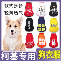 Kokie dedicated young dog to protect belly cute new dog vest with thin cartoon clothes for undershirt pet small dog