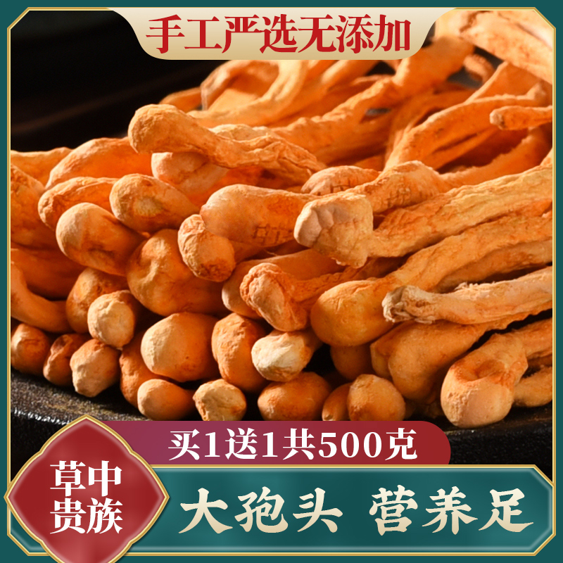 Guangxi Grand Spore Head Caterpillar Fungus Flowers 500g Dry Goods Chrysalis caterpillar fungus Guangdong Pot Soup Materials Flagship Store